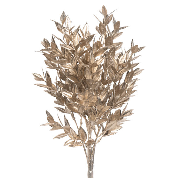 16" Champagne Ruscus Bush