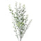 23.5" Frosted Boxwood Spray