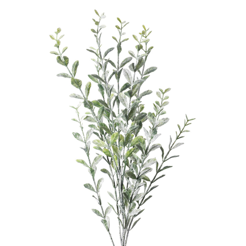 23.5" Frosted Boxwood Spray