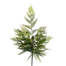 24" Cedar Real Touch Spray