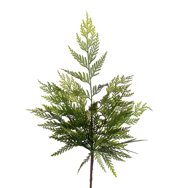 24" Cedar Real Touch Spray