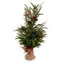 24" Austrian Mix Pine Real Touch Tree