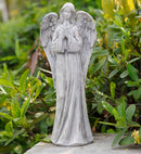 Praying Grey-Washed Angel