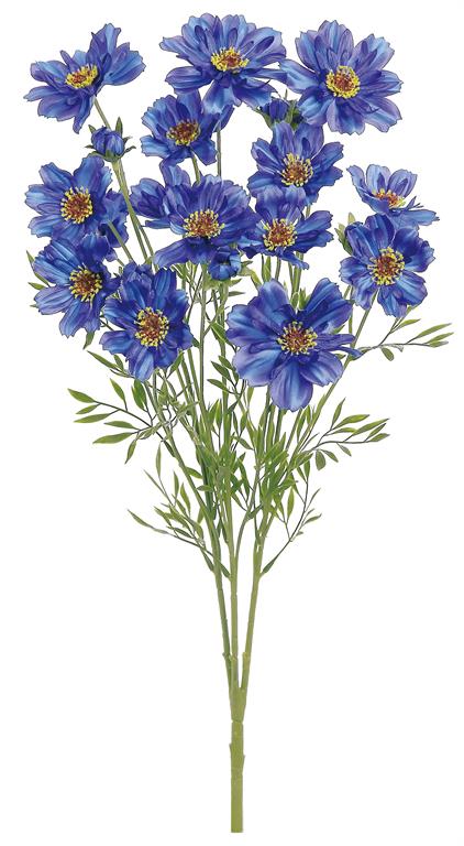 Cosmos Silk Bush