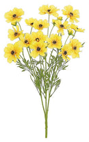 Cosmos Silk Bush