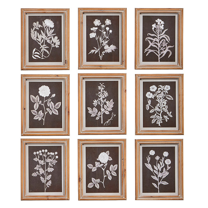 10" Botanical Floral Framed Print