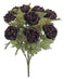Fall Ranunculus Bush