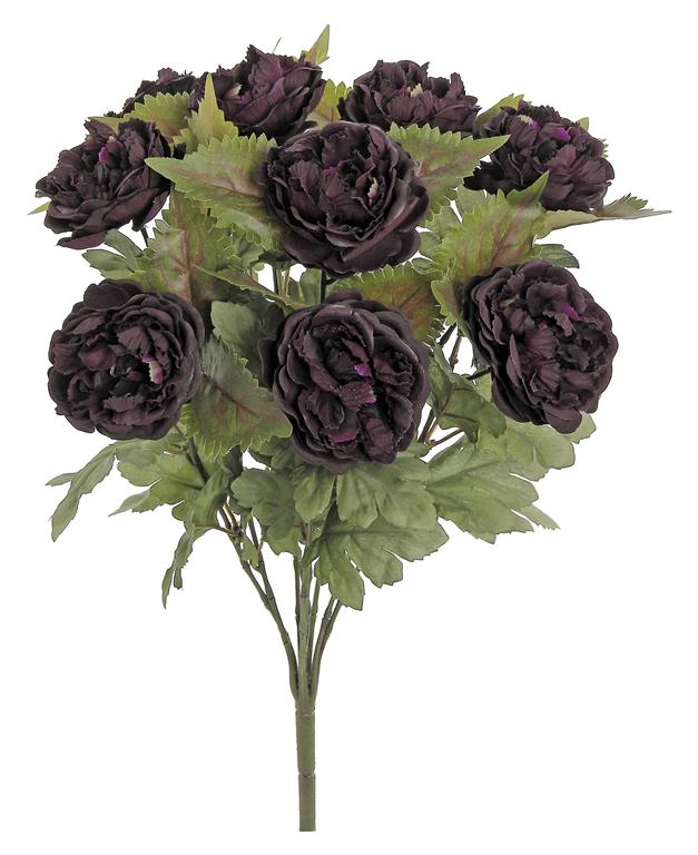 Fall Ranunculus Bush