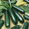 Squash Summer - 'Black Beauty' Zucchini Seeds