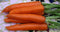 Carrot 'Danvers Half Long' Seeds