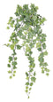 Mini Trailing Ivy Silk Bush