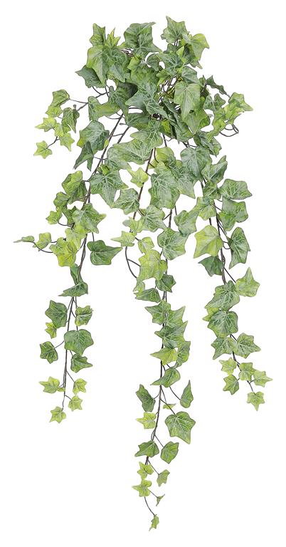 Mini Trailing Ivy Silk Bush