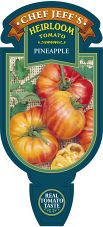 Tomato - Chef Jeff 'Pineapple' Heirloom