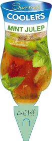 Mentha - Summer Coolers Mint Julep