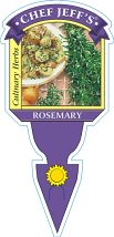 Rosemarinus officinalis - Rosemary