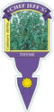Thymus vulgaris - Thyme English