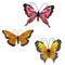 Painted Butterfly Wall Décor