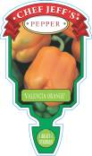 Pepper - Chef Jeff 'Valencia Orange'