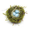 Moss Covered Twig Birds Nest