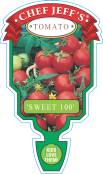Tomato - Chef Jeff 'Sweet 100'