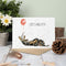 'Let's Pawty' Dachshund Birthday Card