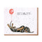 'Let's Pawty' Dachshund Birthday Card