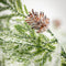 Frosted Fern Pinecone Spray