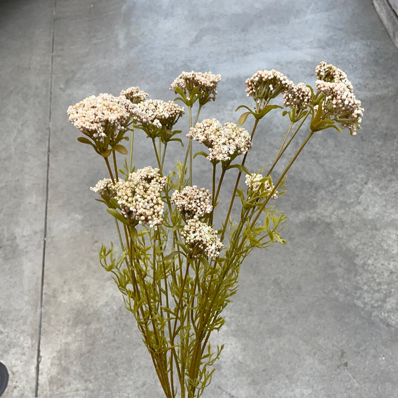 23" Wild Yarrow Spray