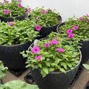 Mixed Outdoor Flower Planter