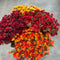 16" Garden Mum Silk Bush