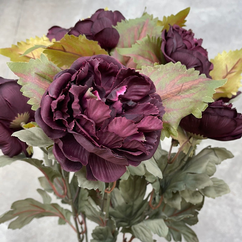 Fall Ranunculus Bush
