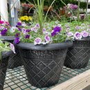 Mixed Outdoor Flower Planter