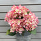 18" Hydrangea Faux Bush