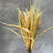 22.5" Wheat Silk Bush