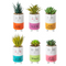 Kindness Pots with Plant Figurines