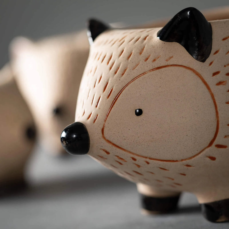 Kitschy Hedgehog Planter