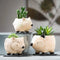 Kitschy Hedgehog Planter