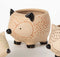 Kitschy Hedgehog Planter