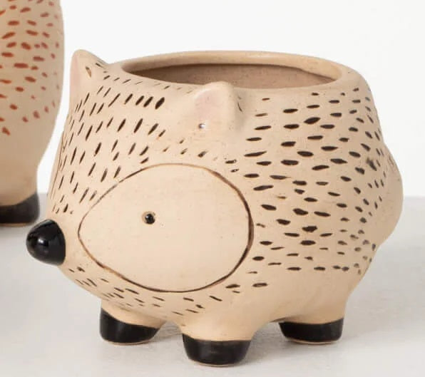 Kitschy Hedgehog Planter