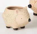 Kitschy Hedgehog Planter